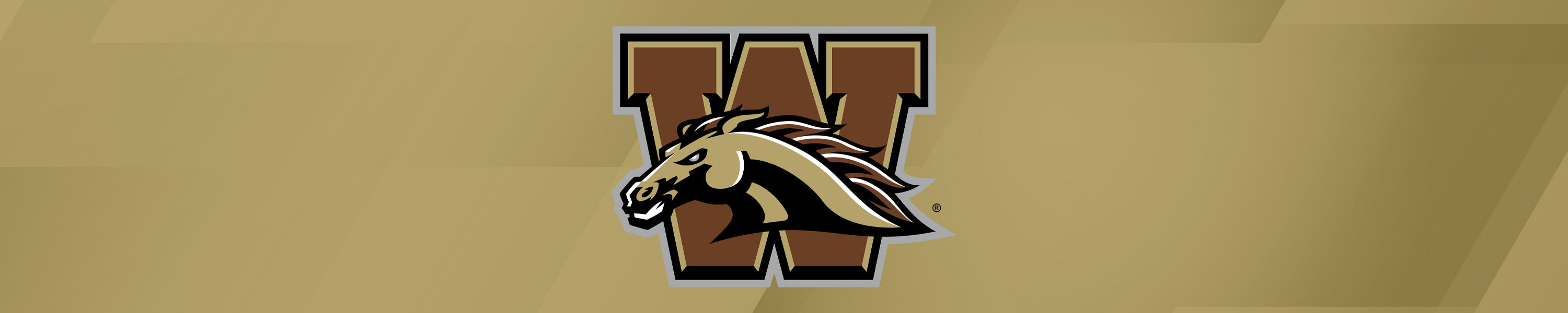 Western Michigan University