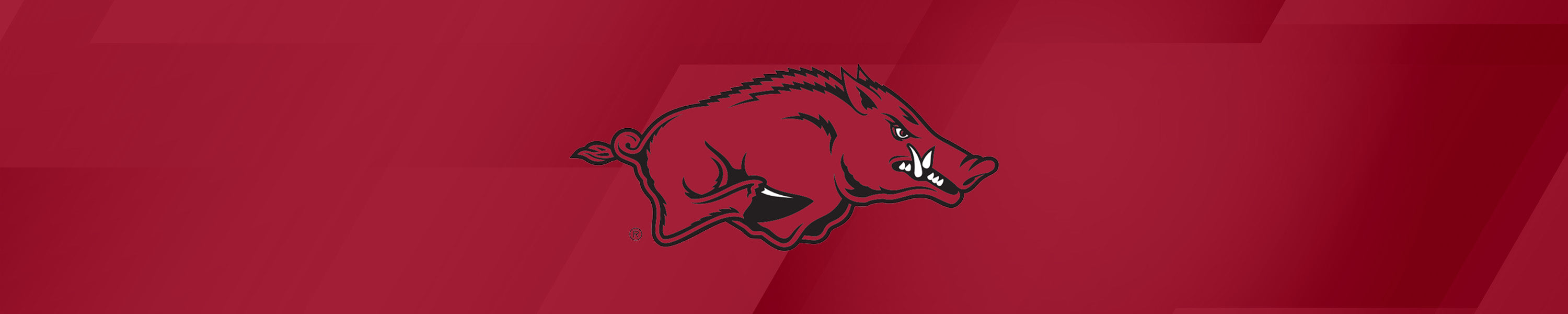 Arkansas Razorbacks
