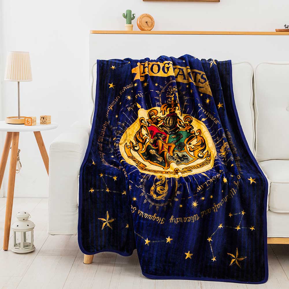 Warner Bros. Harry Potter House Of Hogwarts Micro Raschel Throw Blanket 46x60 Inches