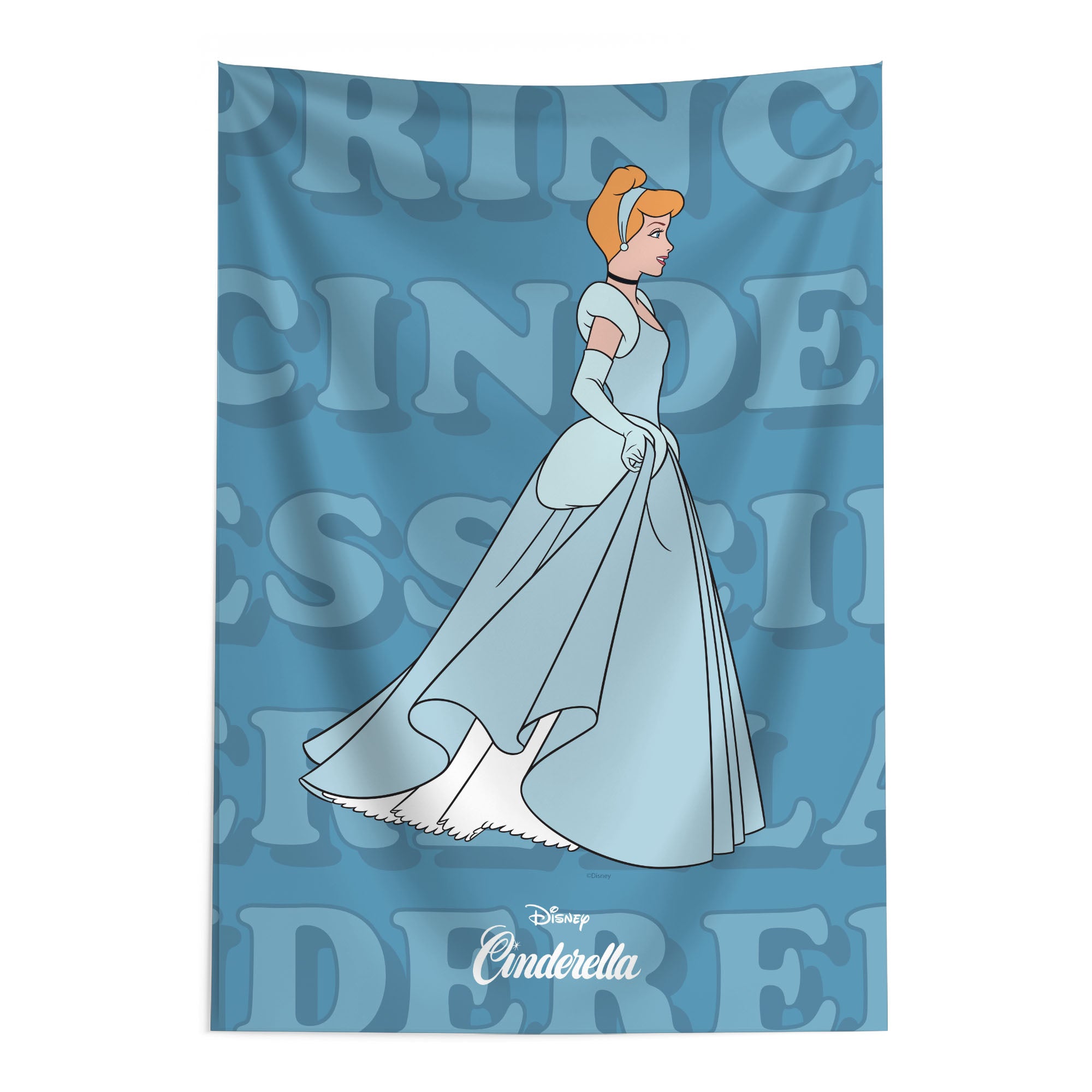 Disney Princesses Cinderella Poster Wall Hanging 24x36 inches