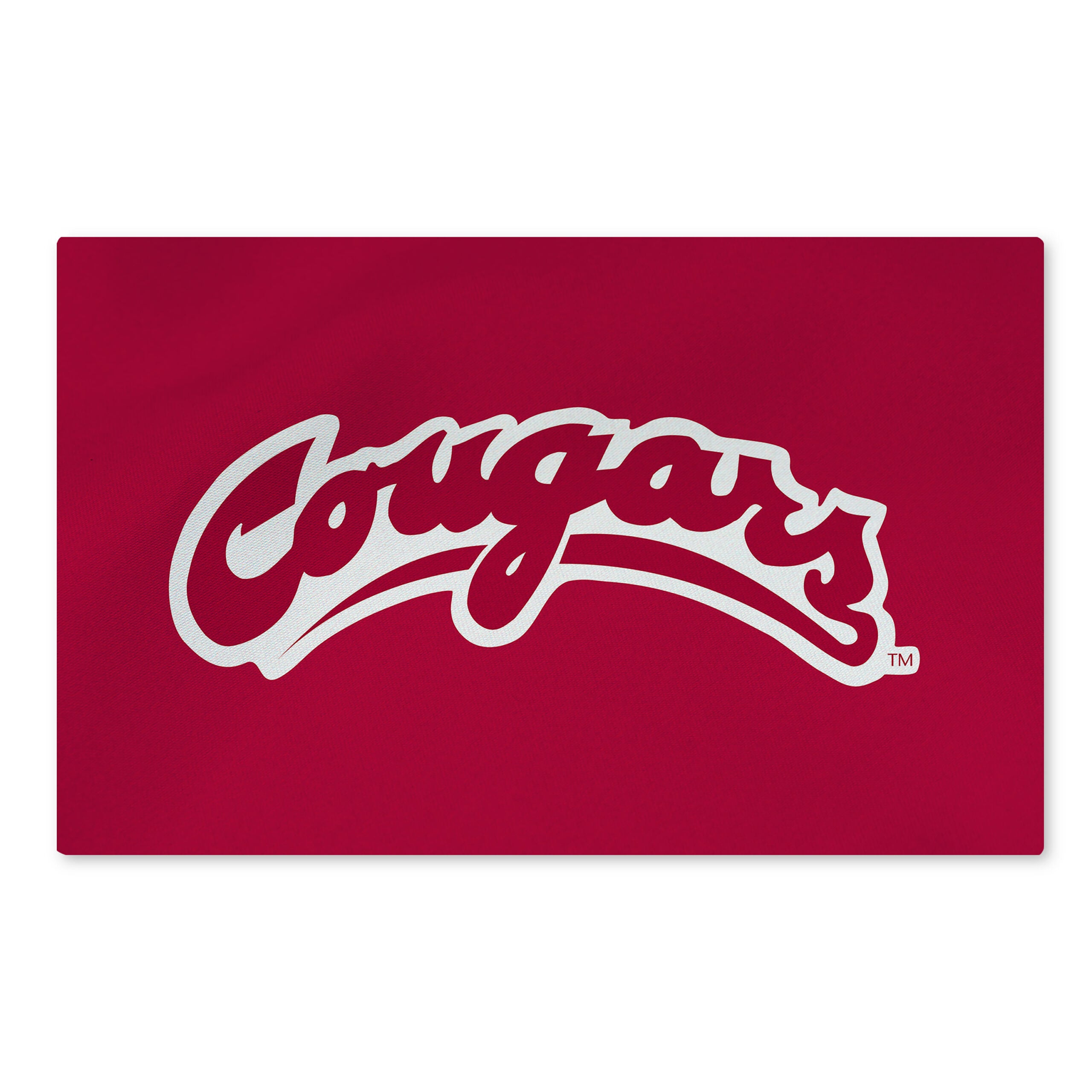 Washington State Cougars NCAA Logo Washable Rug 20x32 inches