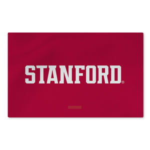 Stanford Cardinal NCAA Logo Washable Rug 20x32 inches