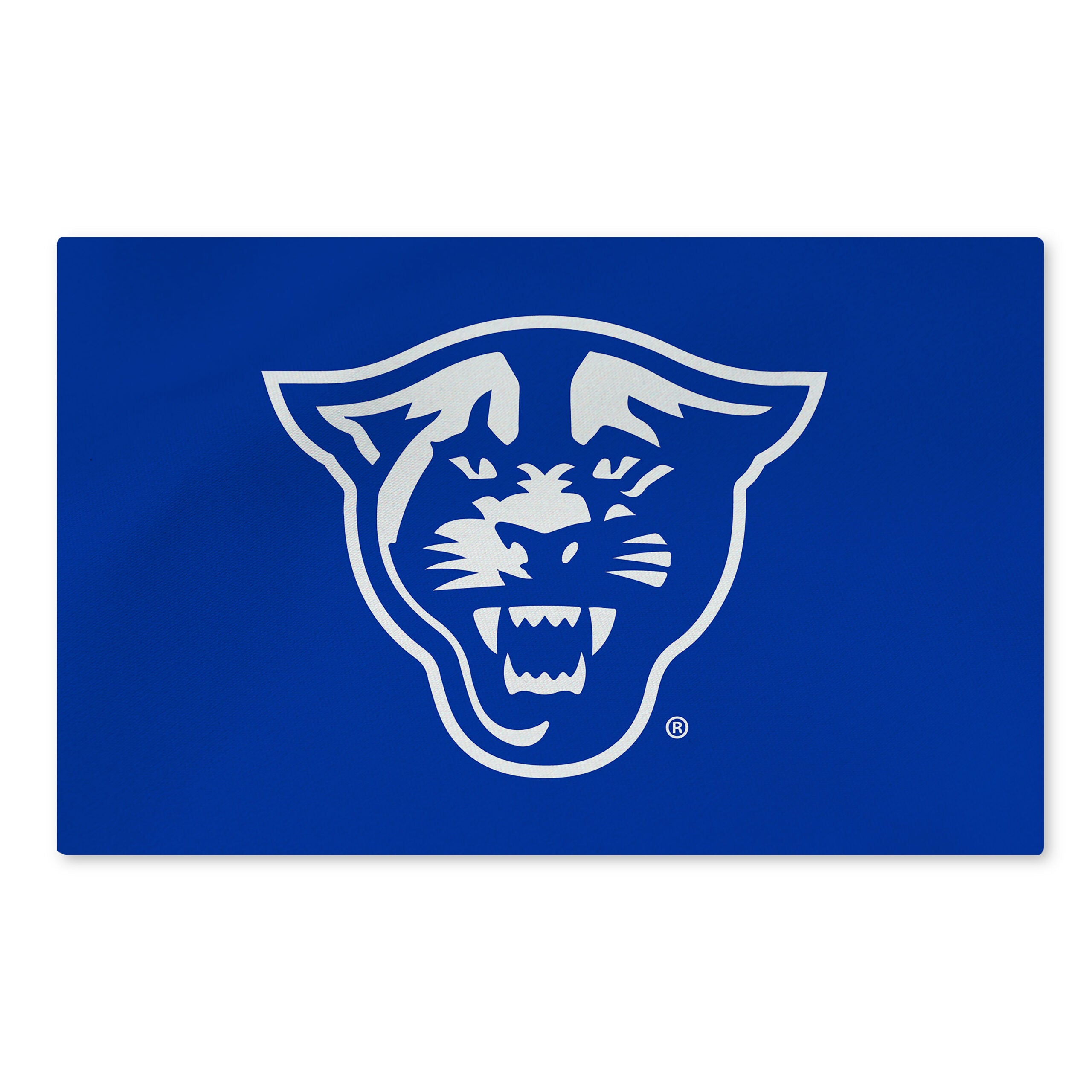 Georgia State Panthers NCAA Logo Washable Rug 20x32 inches