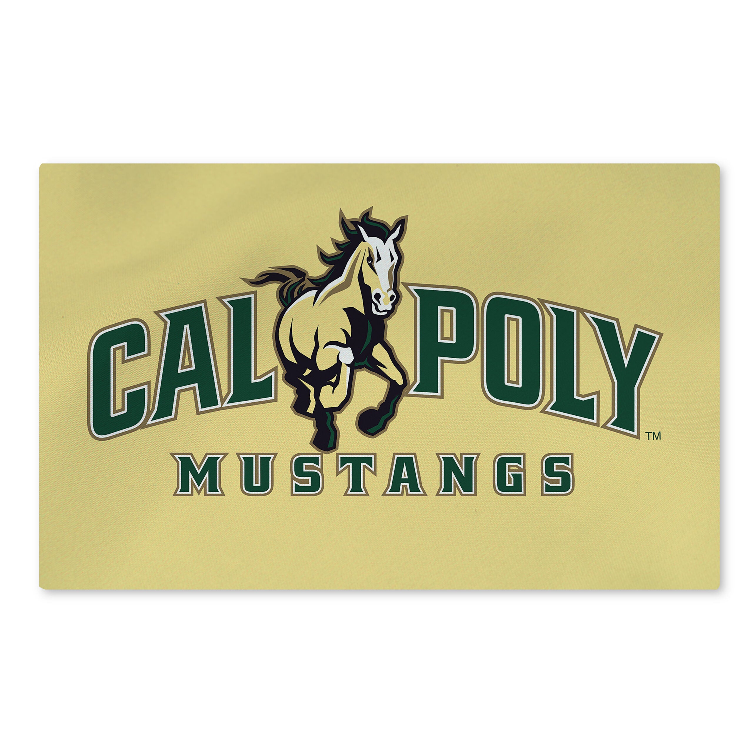 Cal Poly Mustangs NCAA Logo Washable Rug 36x62 inches