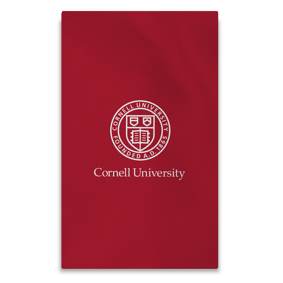 NCAA Cornell Big Red Lock Up Washable Rug 36x62 inches