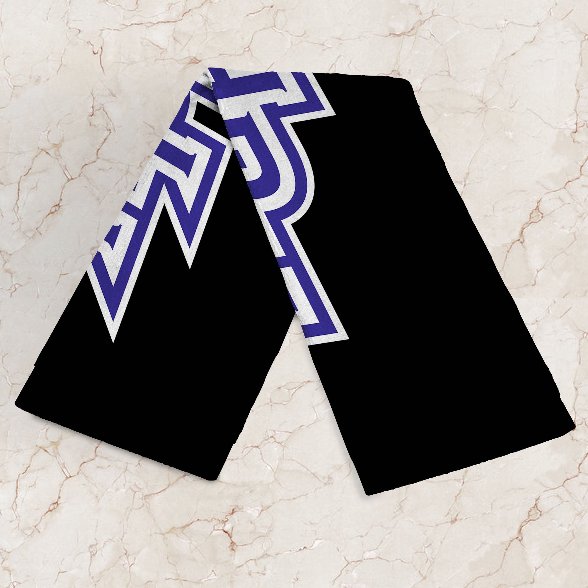 High Point Panthers 2 Pack Fan Towels 16x25 Inches