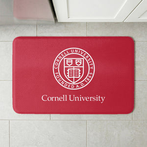 NCAA Cornell Big Red Lock Up Embossed Floor Mat 18x30 inches