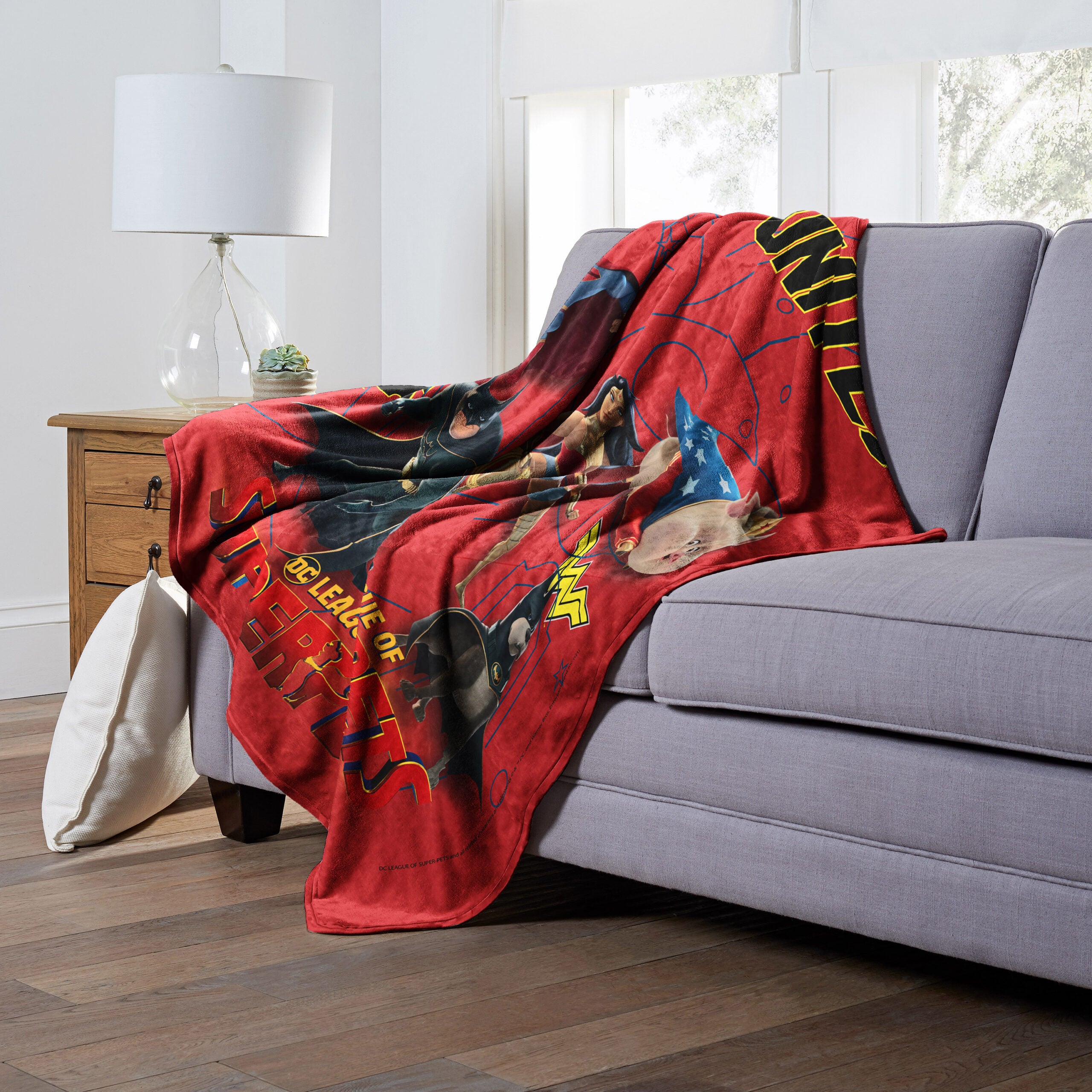 Warner Bros. Superpets Super Pet Team Silk Touch Throw Blanket 50x60 Inches