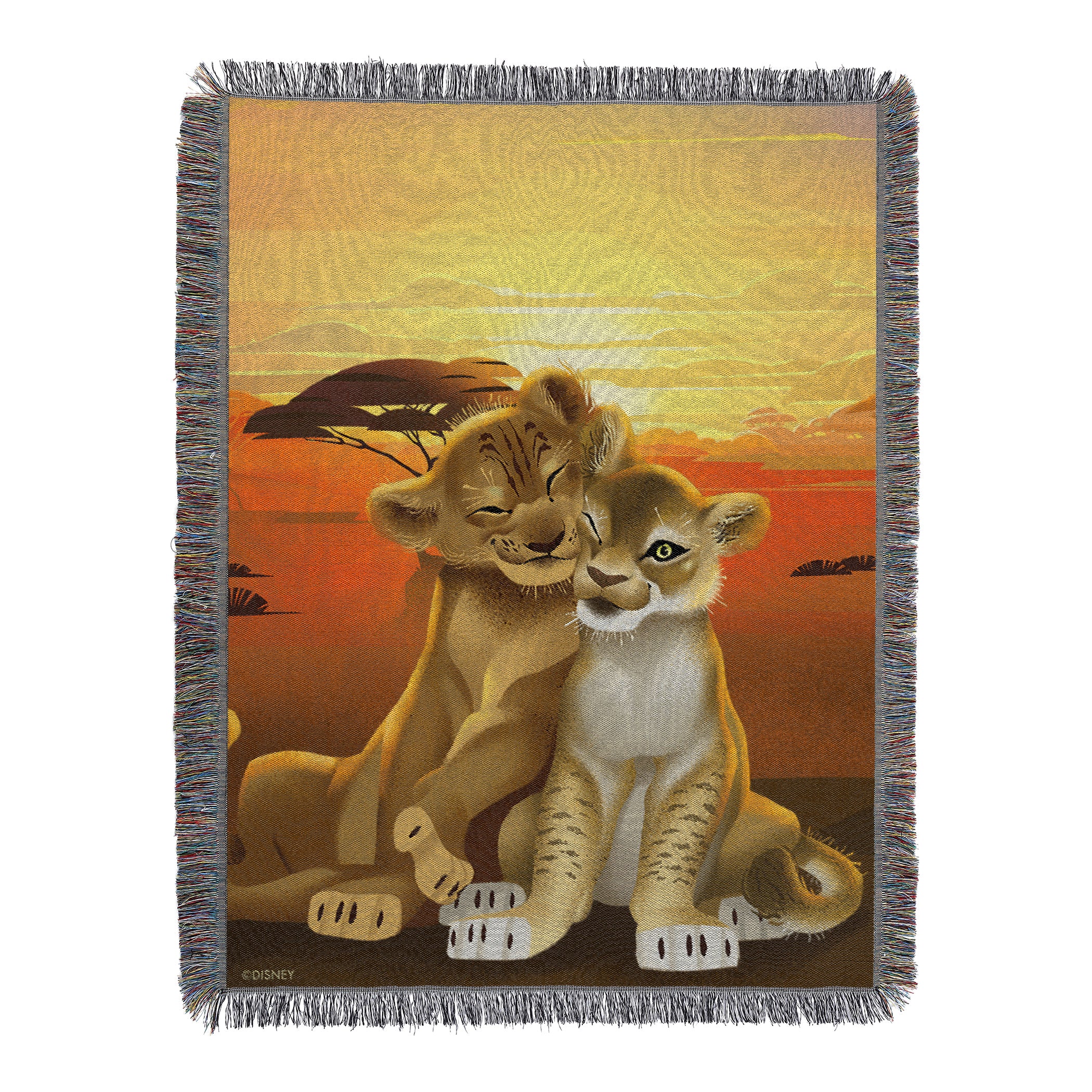 Disney Lion King Simba & Nala Woven Tapestry Throw Blanket 48x60 Inches