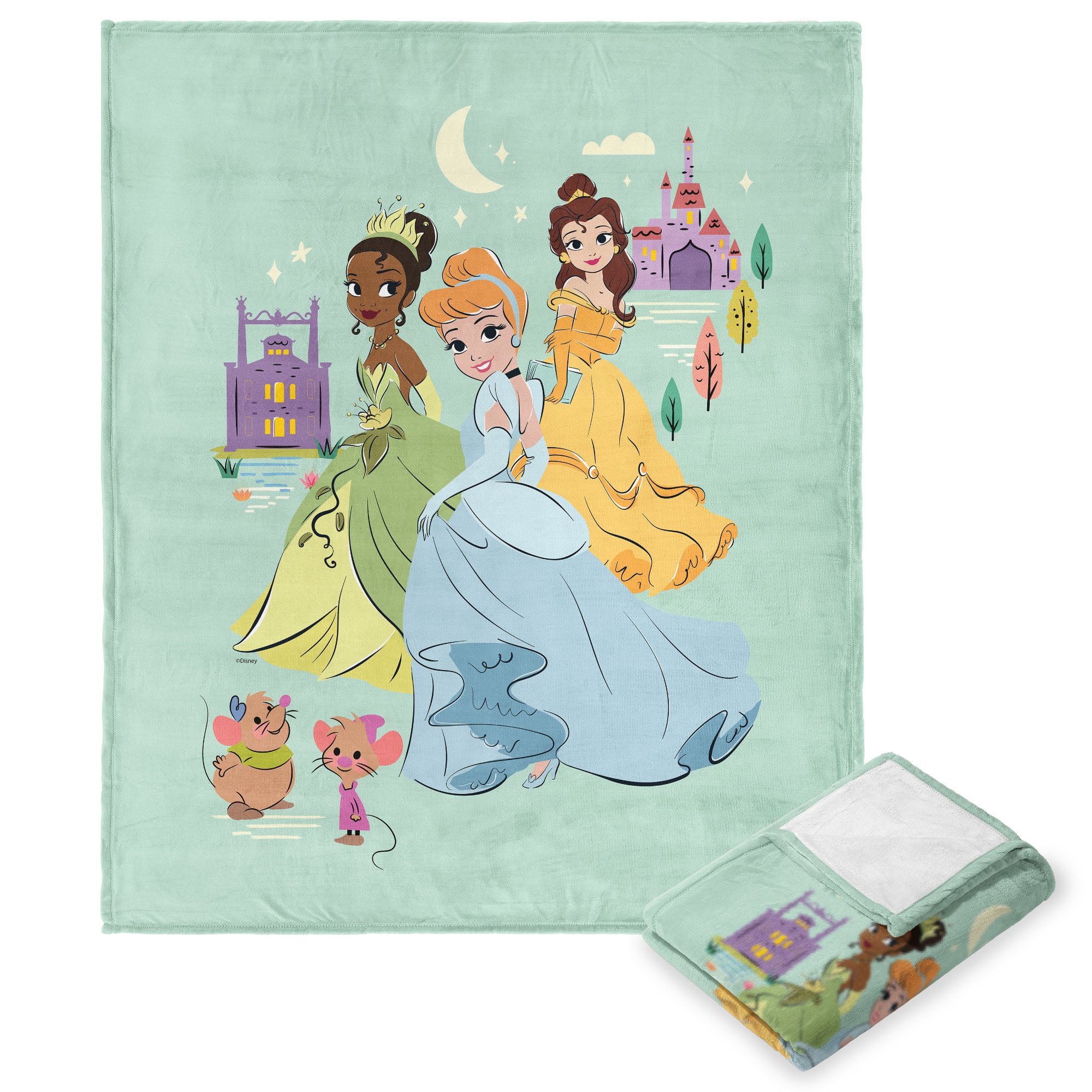 Disney Princesses Heart of A Princess Princess In The Making Silk Touch Throw Blanket 50x60 Inches