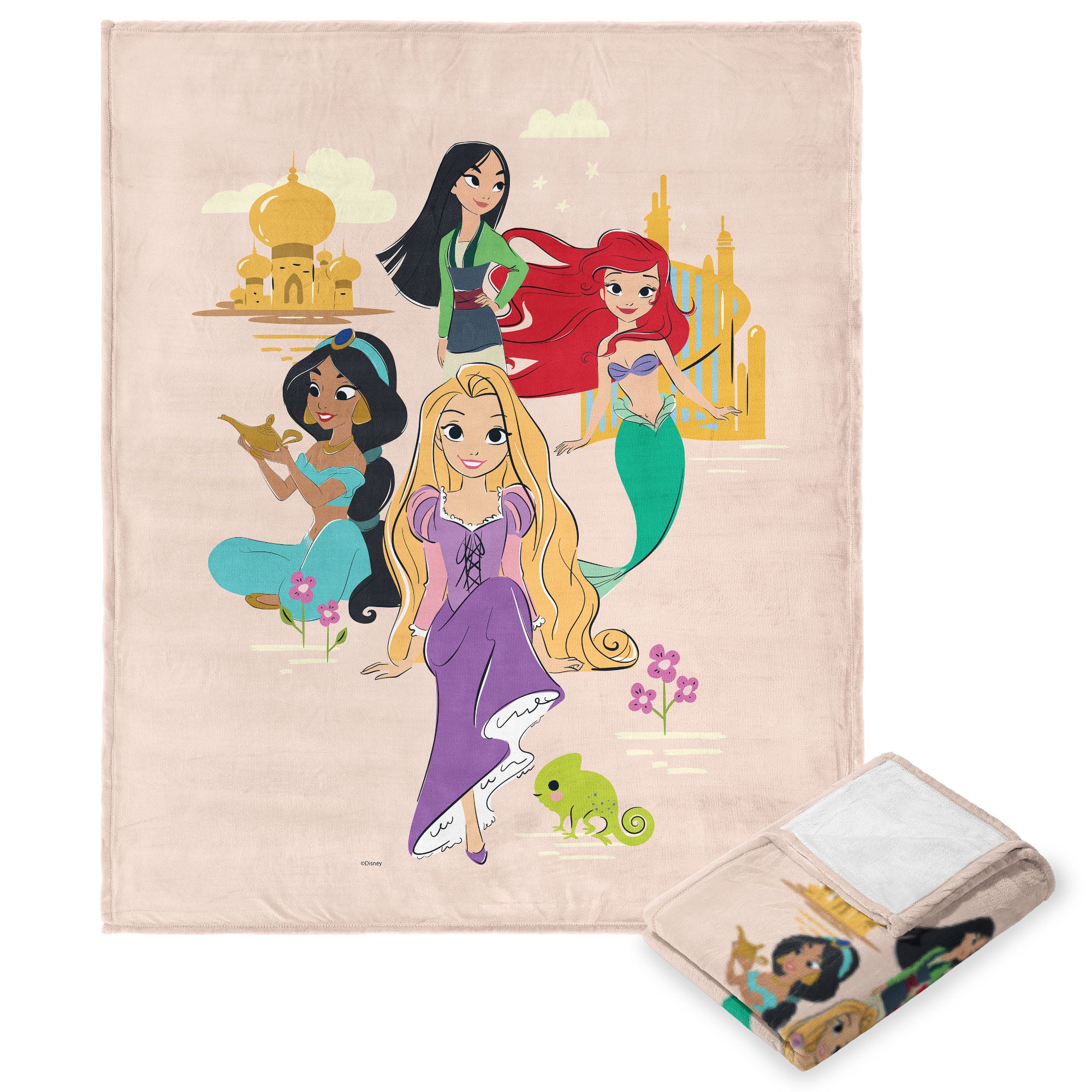 Disney Princesses Heart of A Princess Little But Fierce Silk Touch Throw Blanket 50x60 Inches