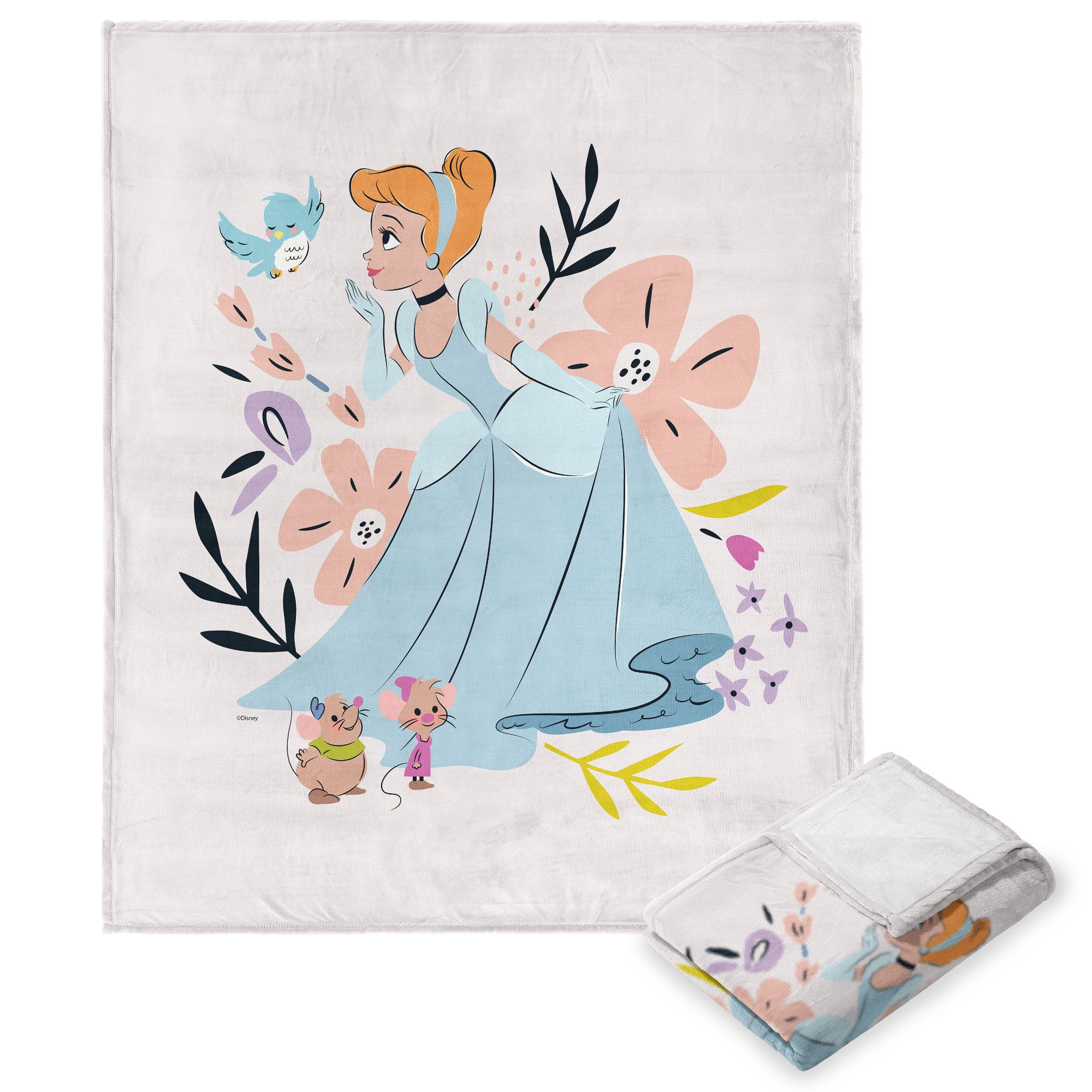 Disney Princesses Heart of A Princess My Friends Silk Touch Throw Blanket 50x60 Inches