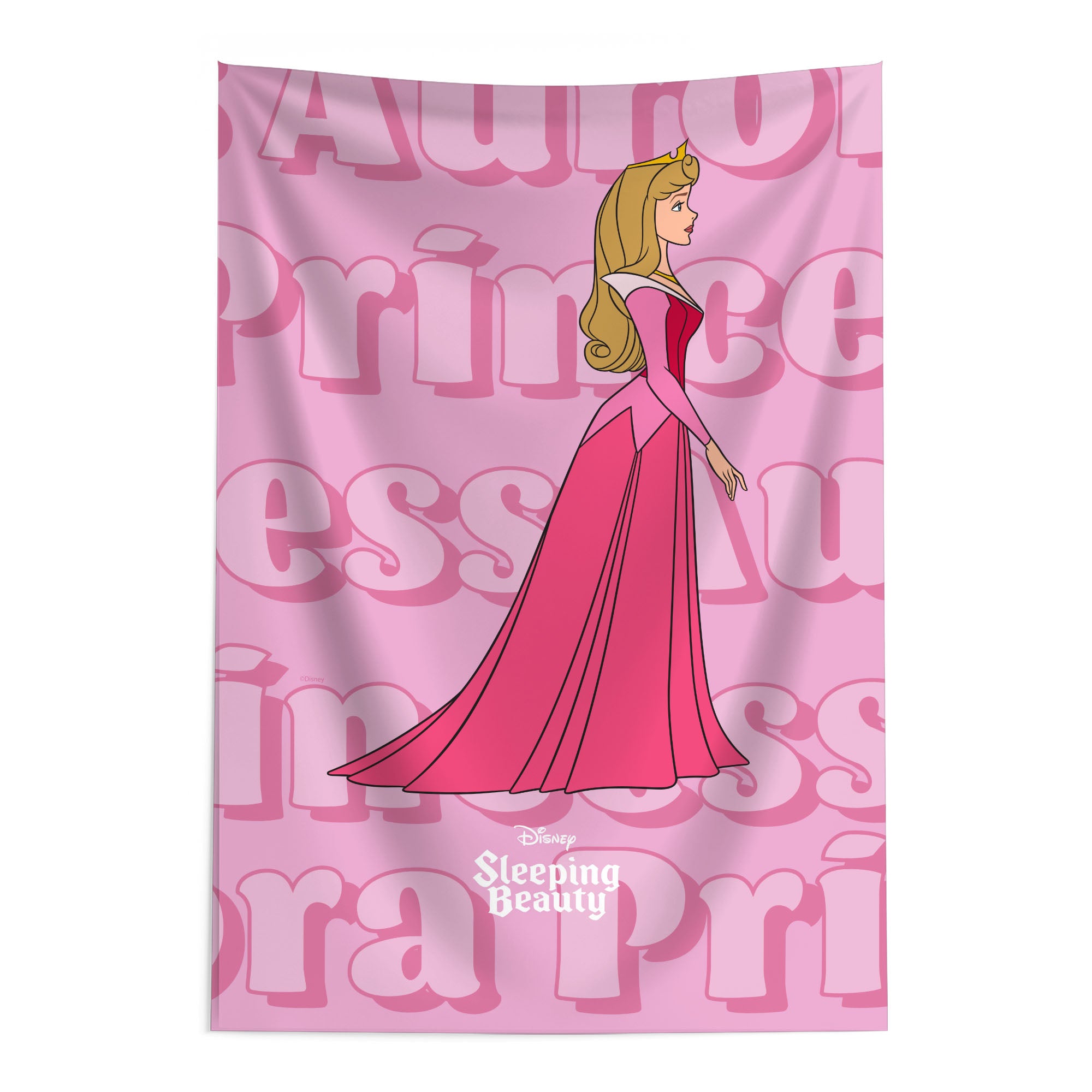Disney Princesses Sleeping Beauty Poster Wall Hanging 24x36 inches