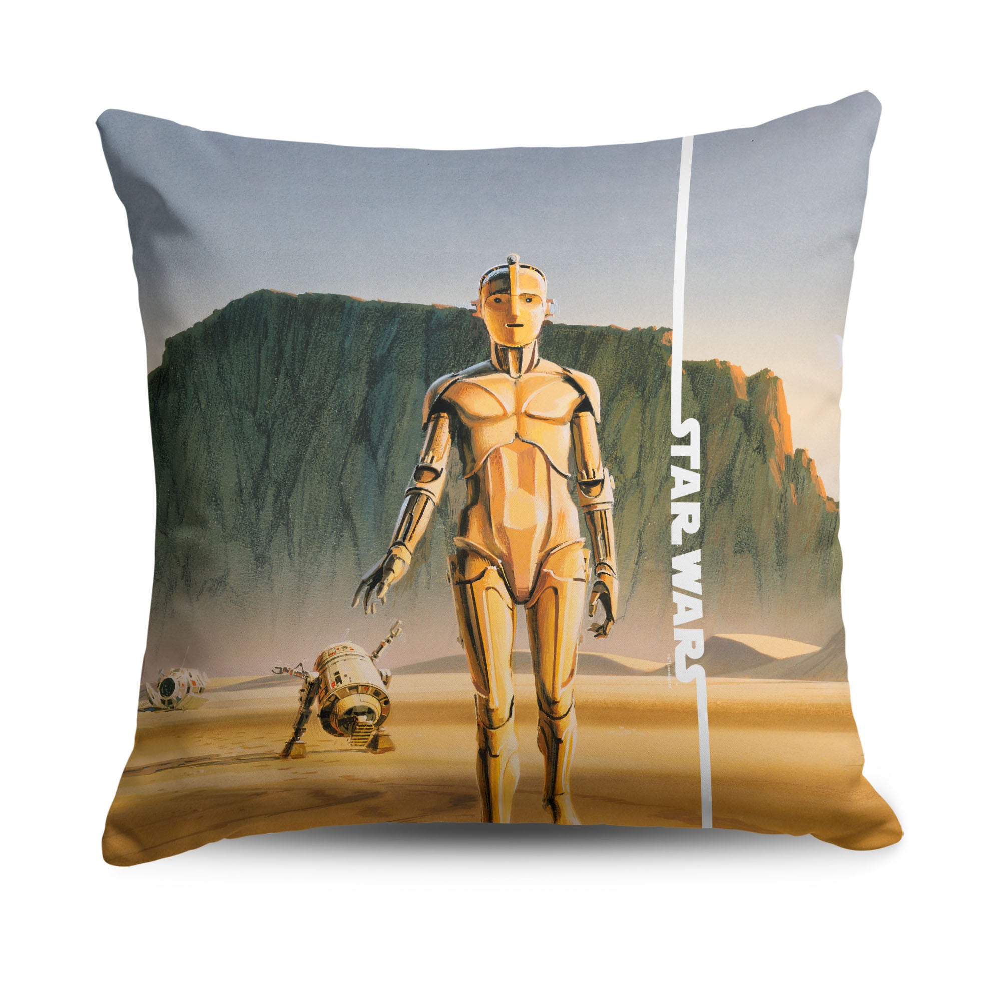 Disney Star Wars Classic Concepts R2-D2 & C-3PO Throw Pillow 18X18 Inches