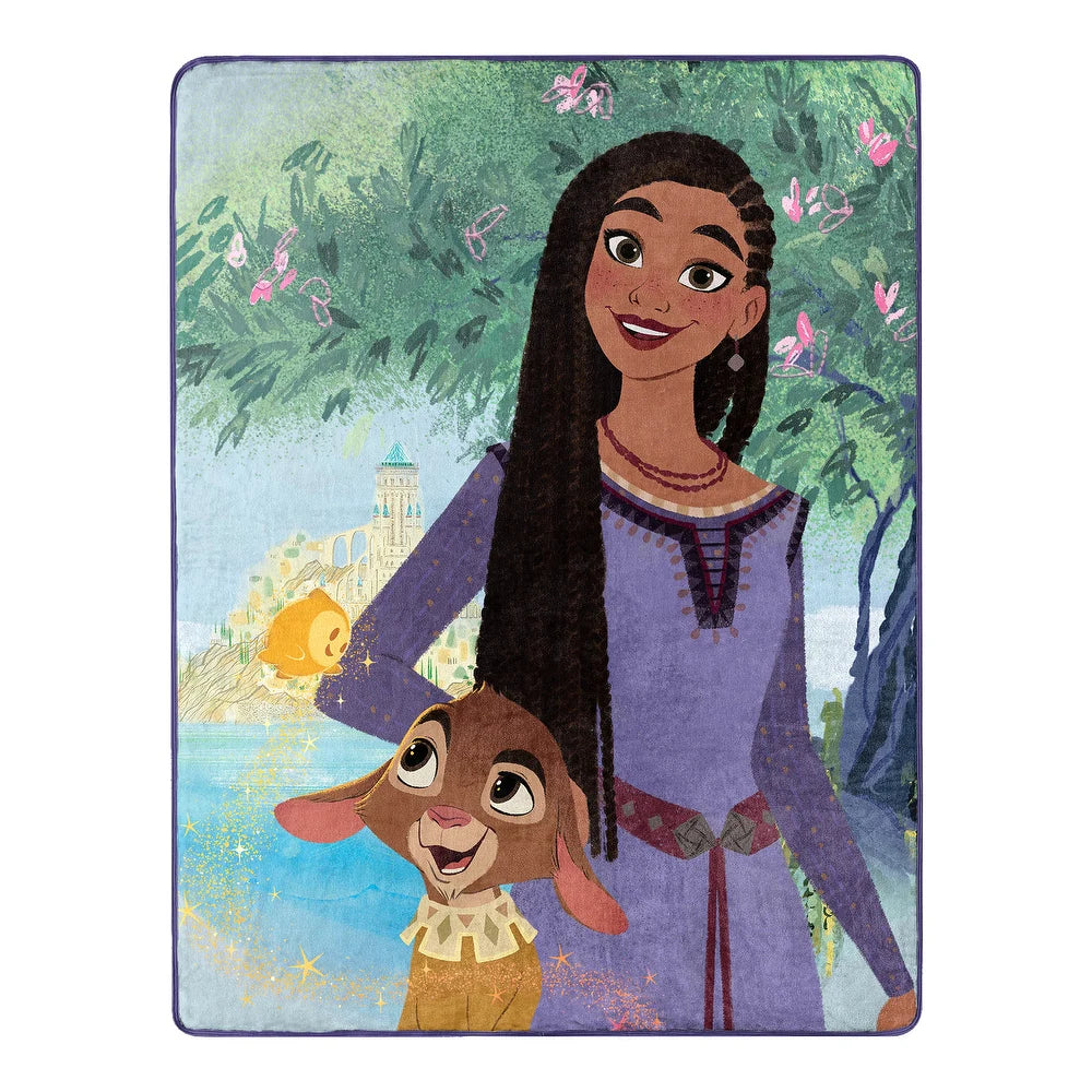 Disney Wish Friendship Micro Raschel Throw Blanket 46x60 Inches