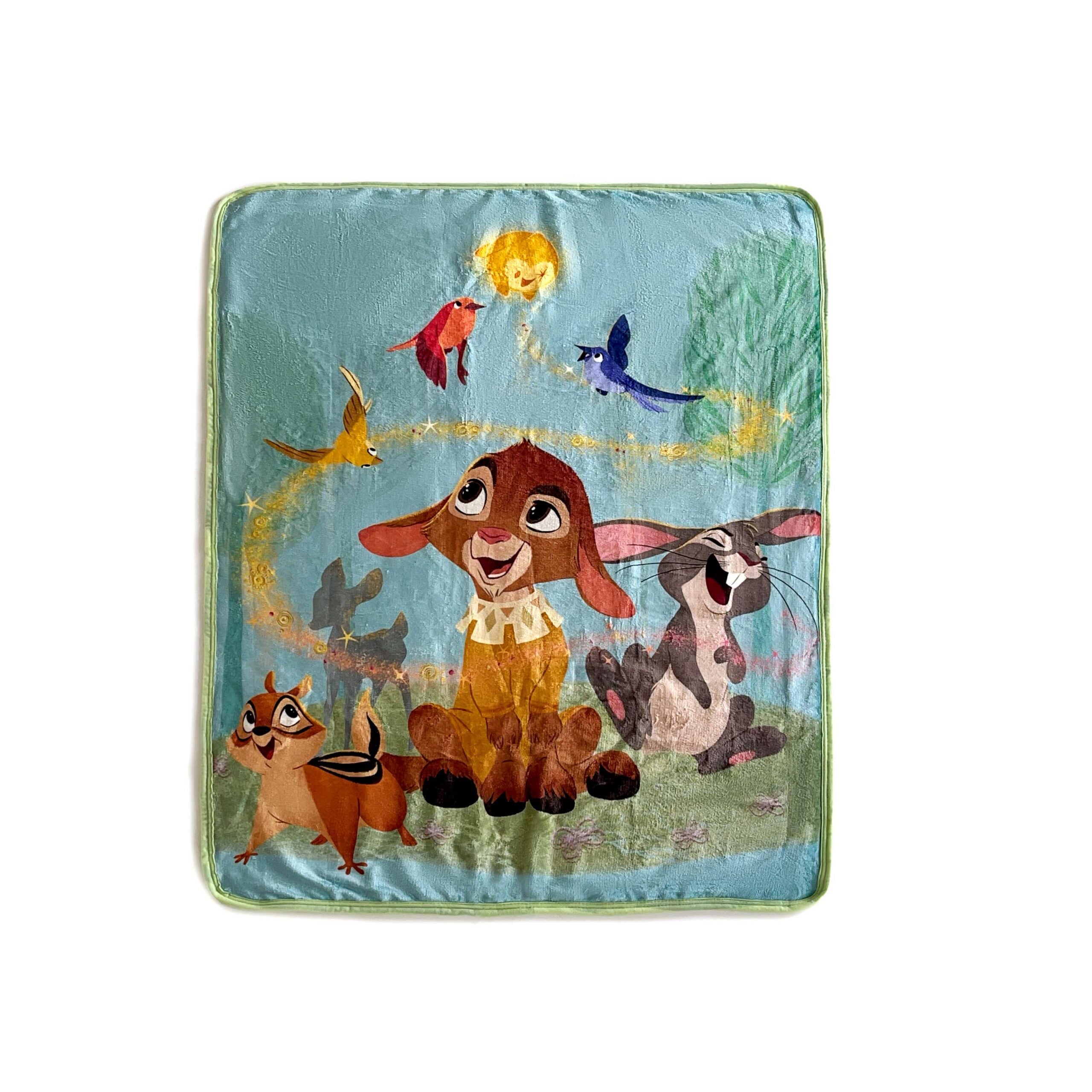 Disney Wish My Friends Silk Touch Sherpa Throw Blanket 40x50 Inches