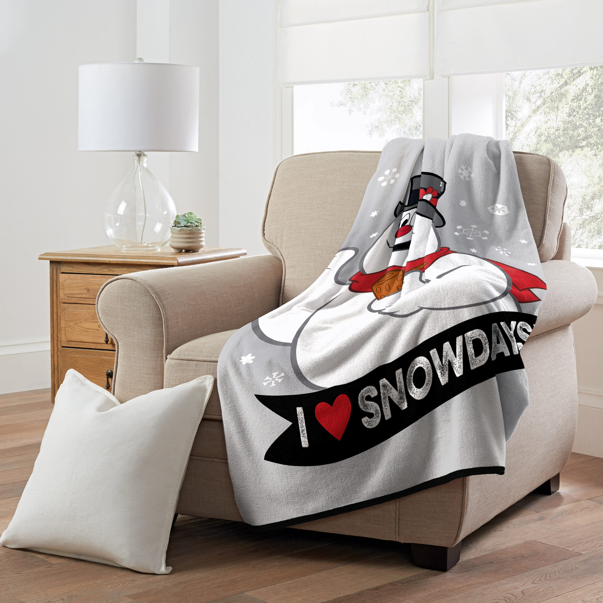 Warner Bros. Frosty the Snowman Snowdays Micro Raschel Throw Blanket 46x60 Inches