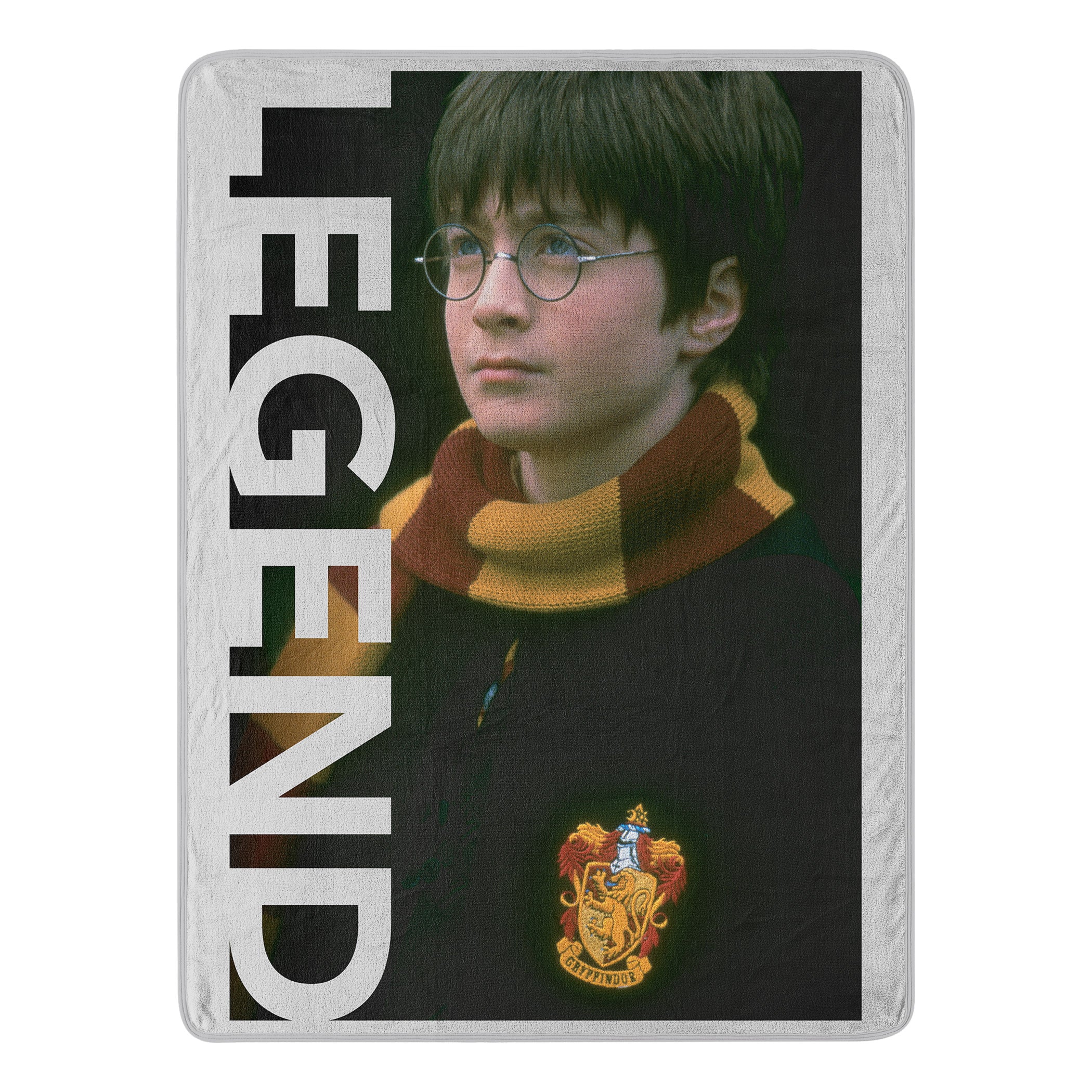 Warner Bros. Harry Potter Legend Micro Raschel Throw Blanket 46x60 Inches