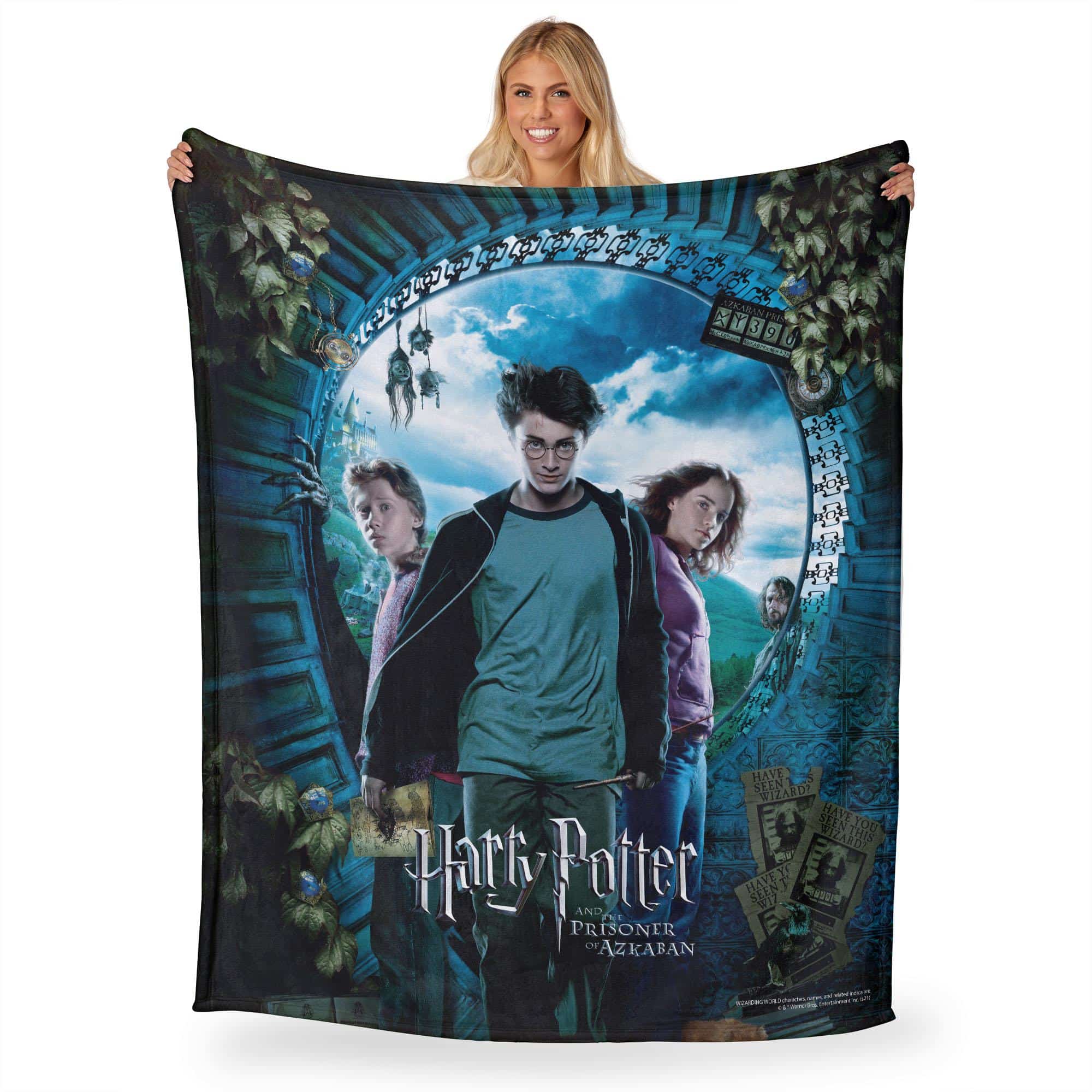 Warner Bros. Harry Potter Core Three Silk Touch Throw Blanket 50x60 Inches