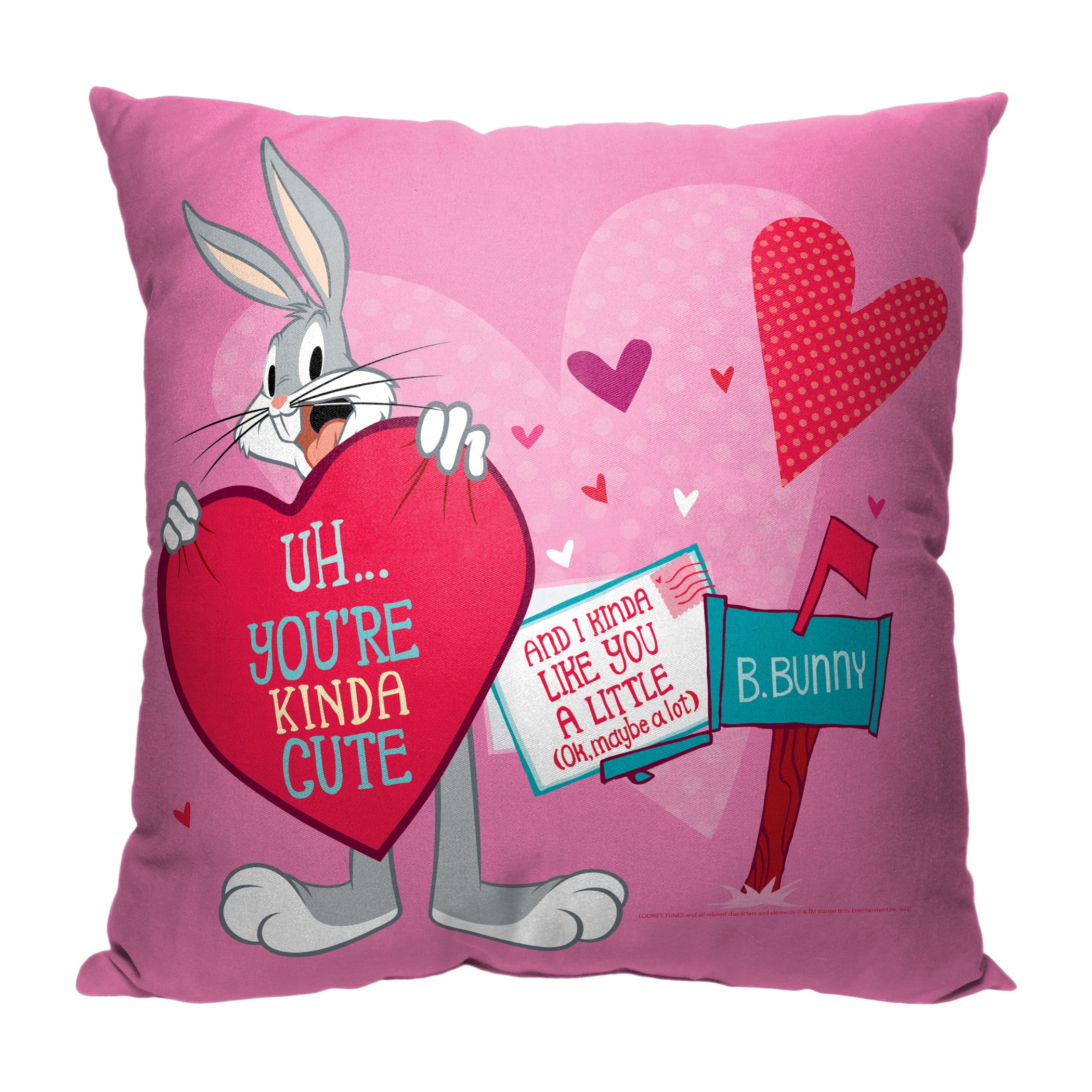 Warner Bros. Looney Tunes Looney Love Letter Throw Pillow 18x18 Inches