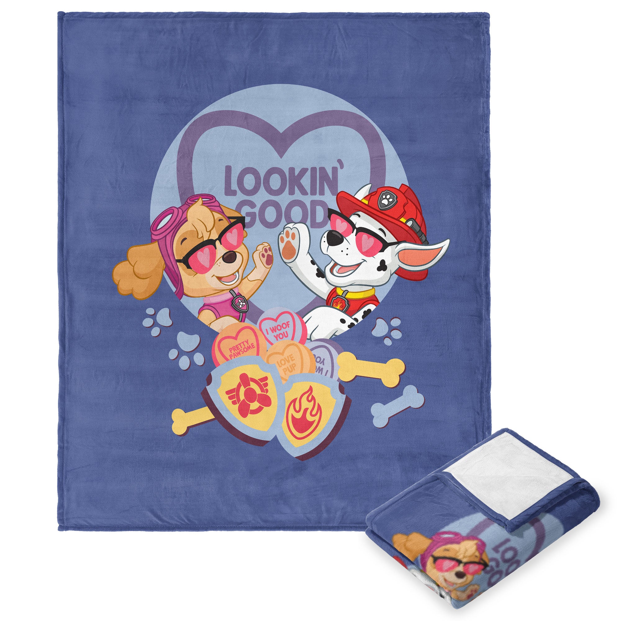 Nickelodeon Paw Patrol Looking Good Silk Touch Throw Blanket 50x60 Inches