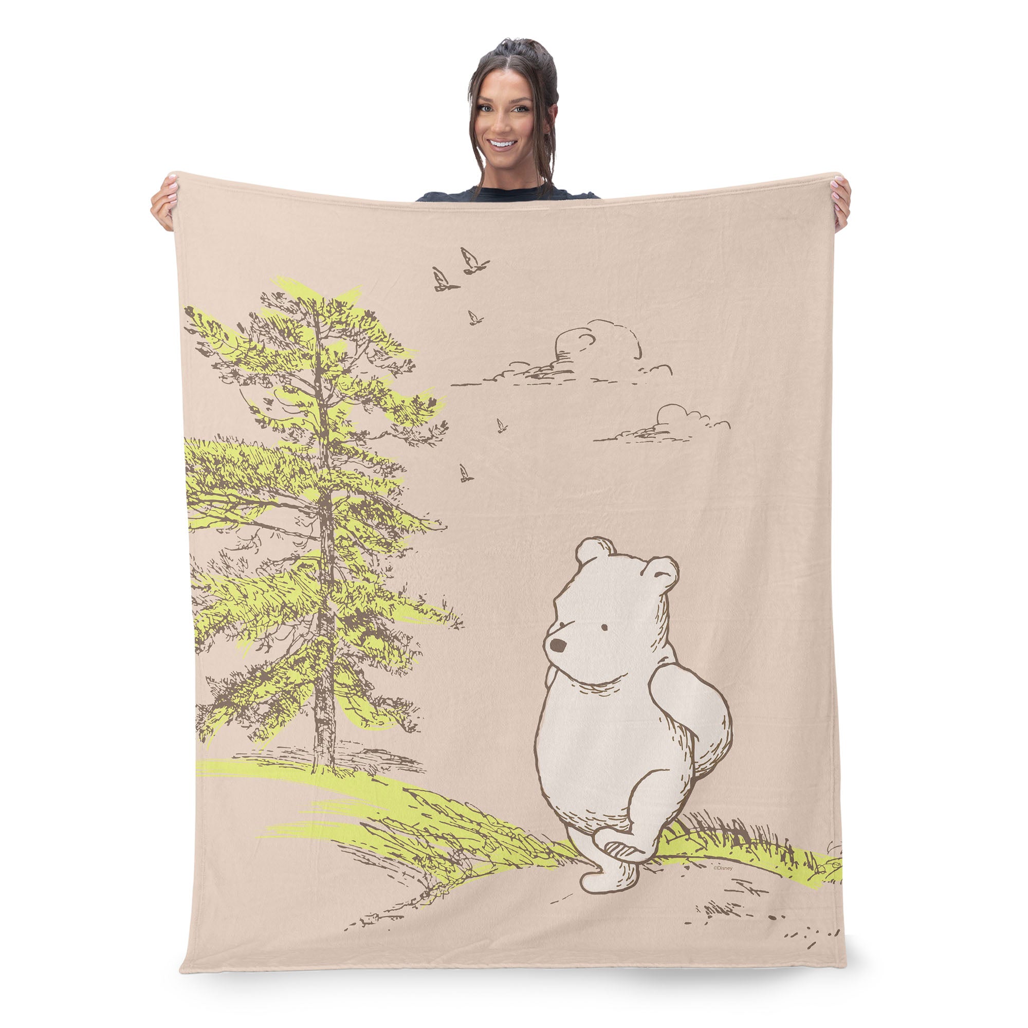 Disney Classic Pooh 2024 throw