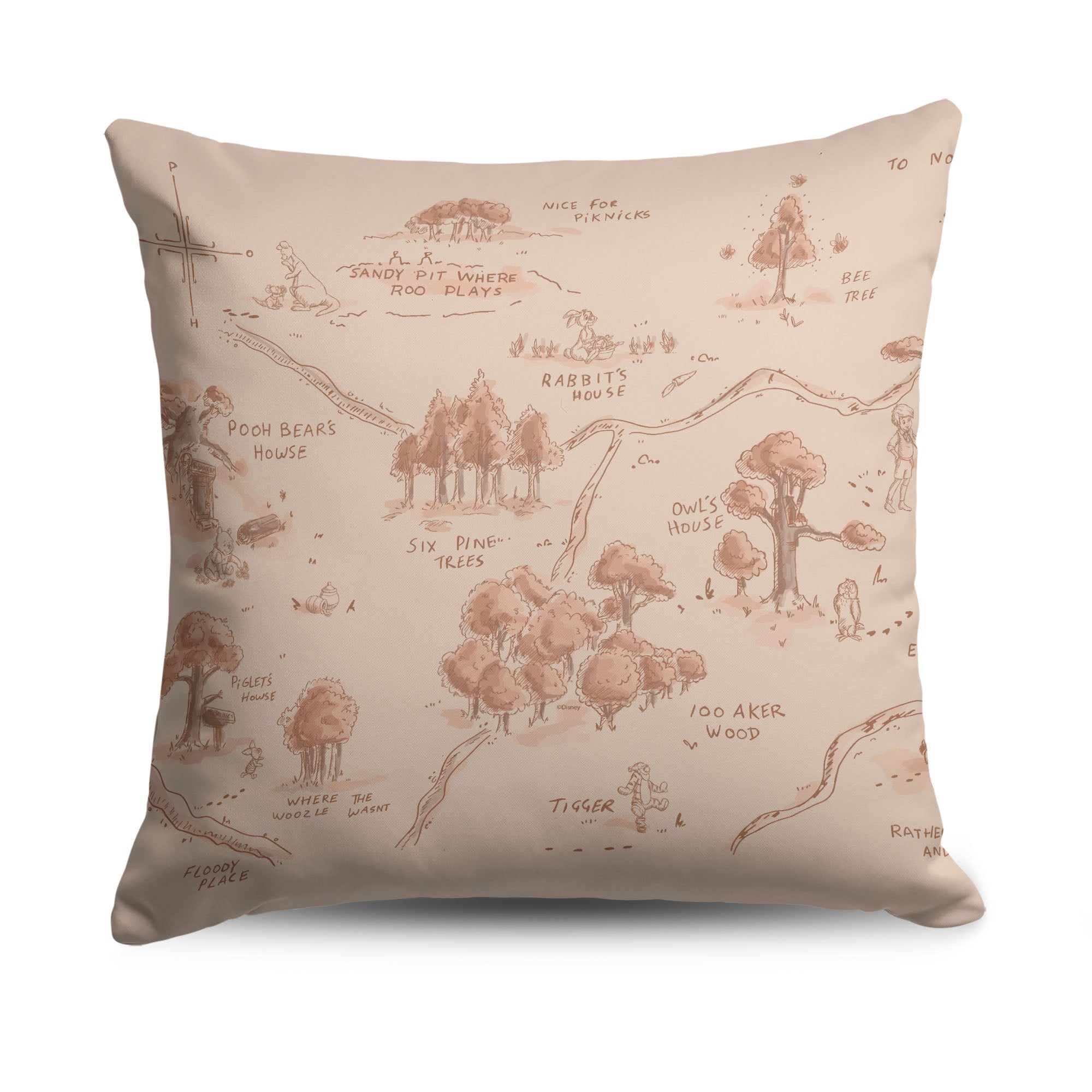 Orlando Map Pillow - retailer Florida Map Pillow 18x18