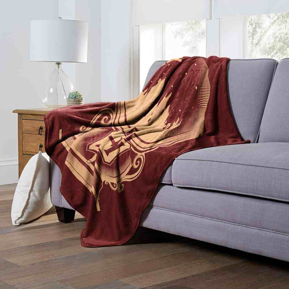 Warner Bros. Harry Potter Snowglobe Silk Touch Throw Blanket 50x60 Inches