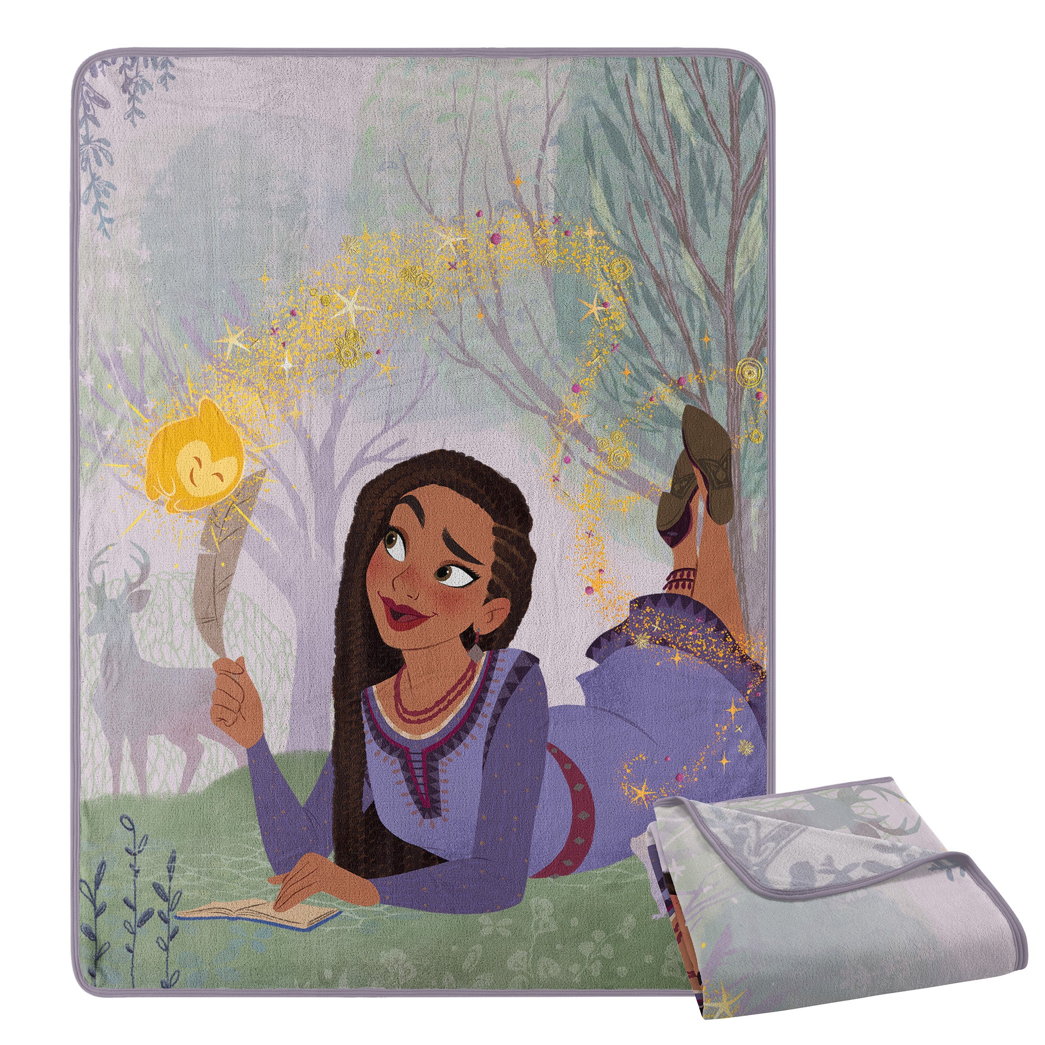 Disney Wish Dreamer Micro Raschel Throw Blanket 46x60 Inches