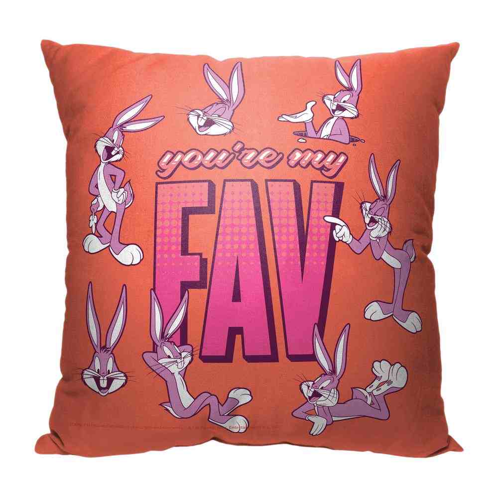 Warner Bros. Looney Tunes Youre My Fav Throw Pillow 18x18 Inches