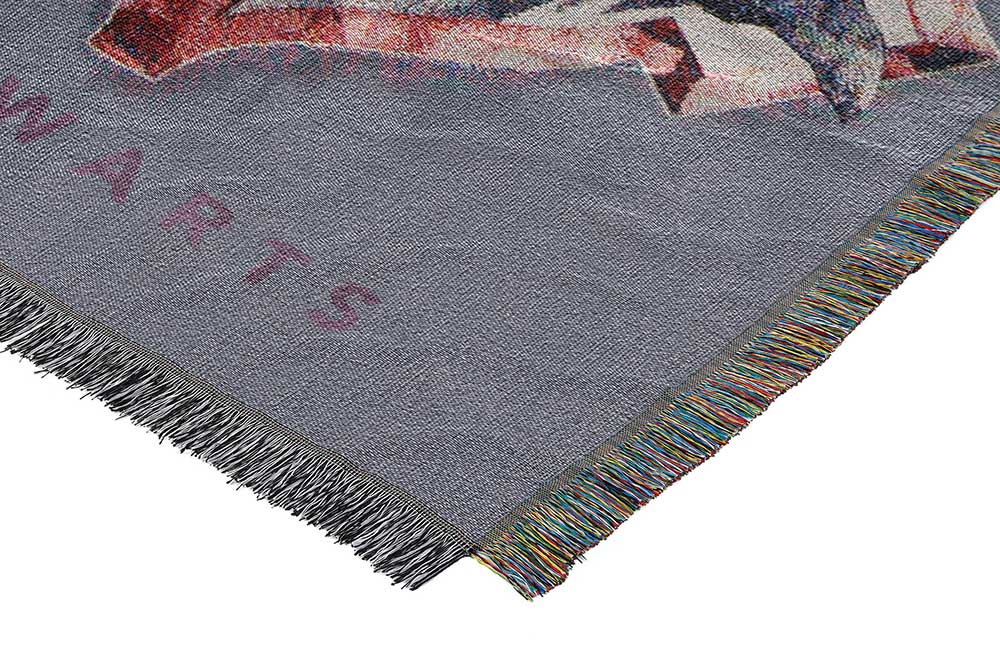 Warner Bros. Harry Potter Houses Together Woven Tapestry Throw Blanket 48x60 Inches